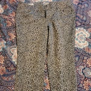 Torrid Leopard Jegging